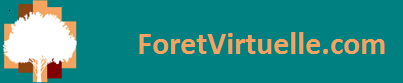 Logo Forêt Virtuelle