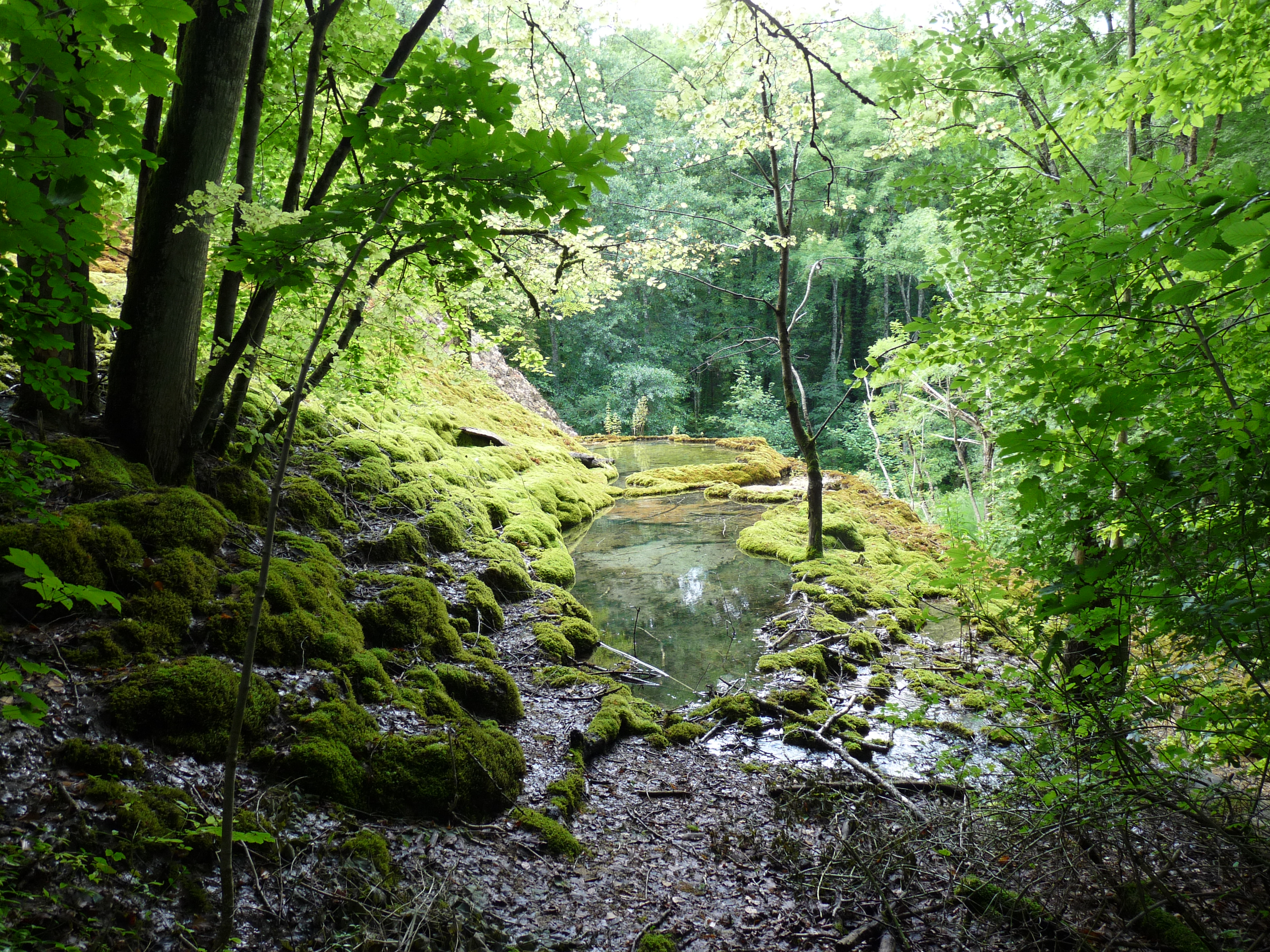 Tufière de rolampont